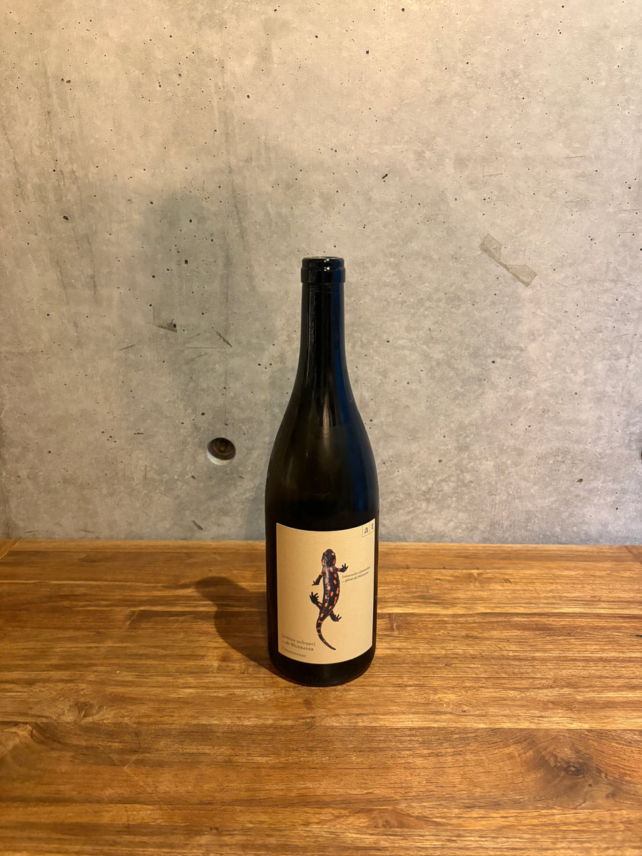 ANDREAS TSCHEPPE SALAMANDER 2024 （販売条件有り） – Wine shop lucy
