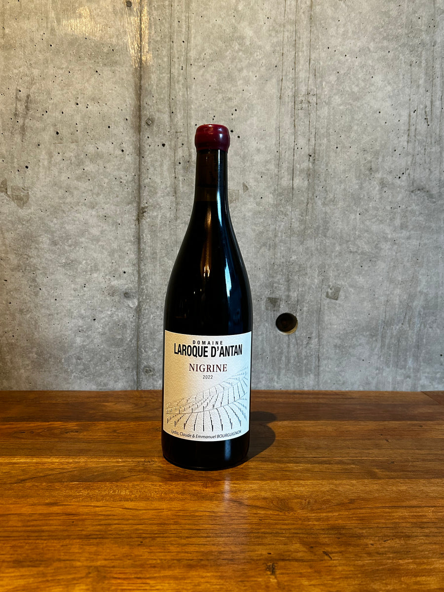 LAROQUE D'ANTAN / Nigrine2022 – Wine shop lucy