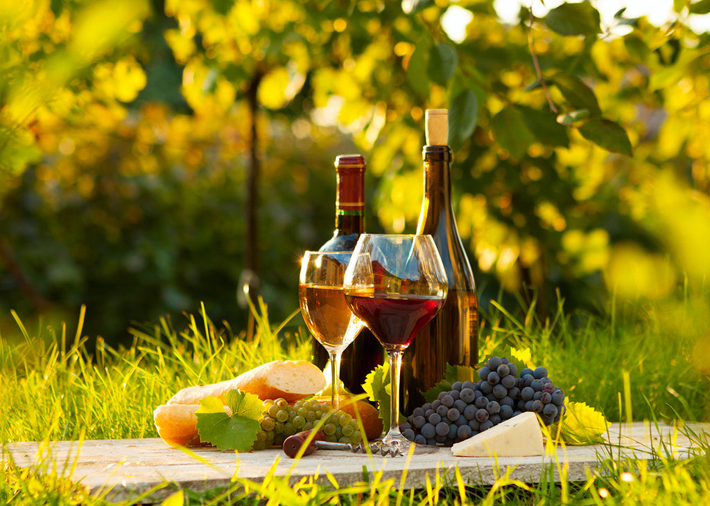 ナチュラルワイン（自然派ワイン）とオーガニックワインの違いと特徴