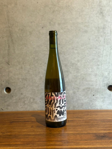 SONS OF WINE / SAUVAGE 2023
