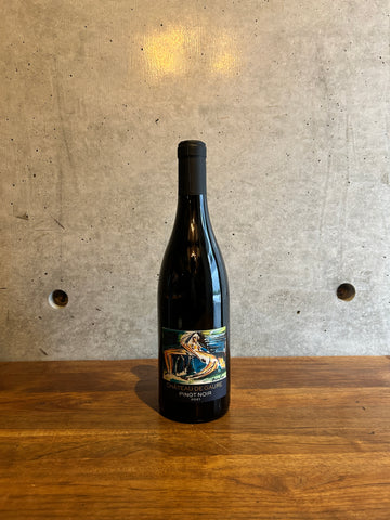 Chateau de Gaure / PinotNoir  2021