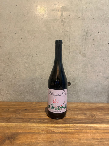 Alessandro Viola / Rose 2024