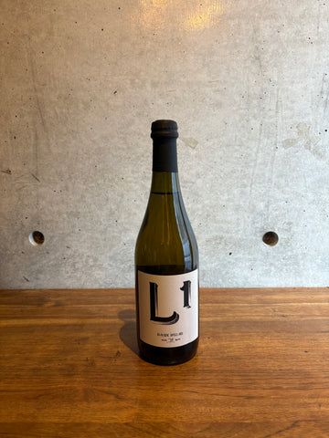 Davide Spillare / L1 2023