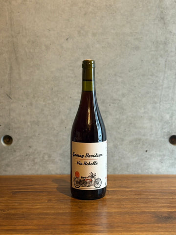 SONS OF WINE / GAMAY DAVIDSON 2022