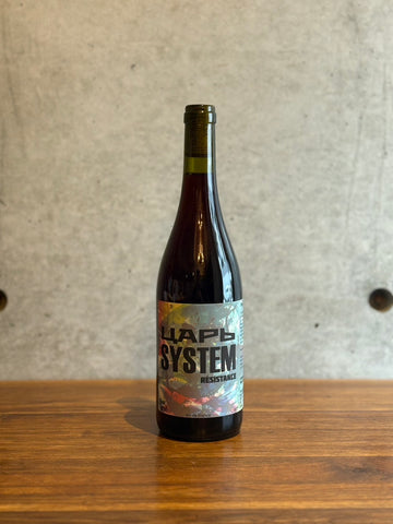 SONS OF WINE / TSAR SYSTEM PINEAU D'AUNIS 2023
