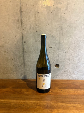 Lenuzza / Indigenously Ribolla Gialla 2022