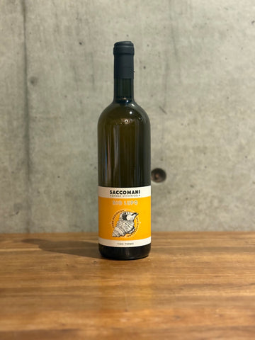 SACCOMANI     Rio Lupo   2023