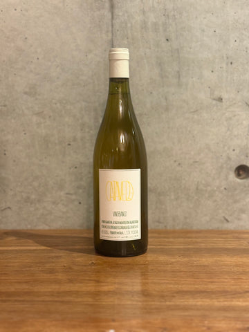 Denavolo   /      Catavela    2023