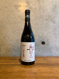 Cristiano Guttarolo 　　　 Susumaniello 2017