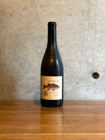 DOMAINE DELHOMME&CO   /  KEVIVRA VERA 2023